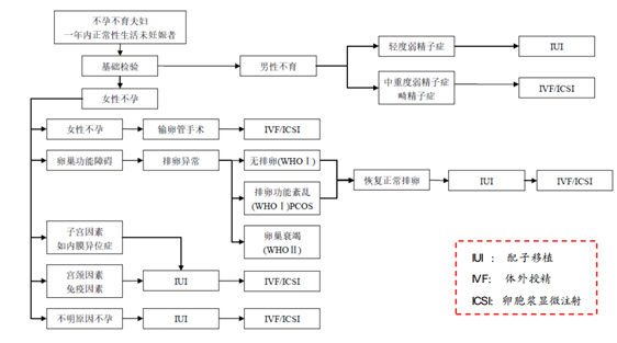 试管婴儿流程图