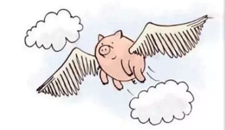 会飞的猪动画图片